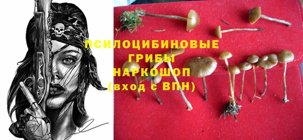 тгк Алексин